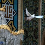 امام رضا را رها کرده ای می‌خواهی نزد فلان عالم زاهد بروی؟
